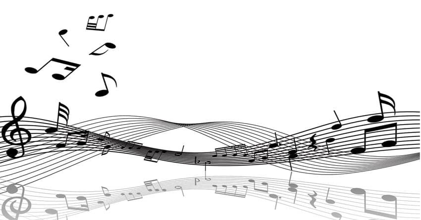 NOTANIN SESİ ORG KURSU