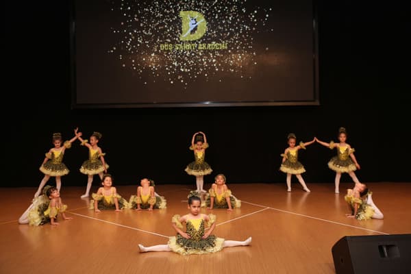 TC. MEB Düş Sanat Akademi - 2. Fotoğraf TC. MEB Düş Sanat Akademi - 2. Fotoğraf