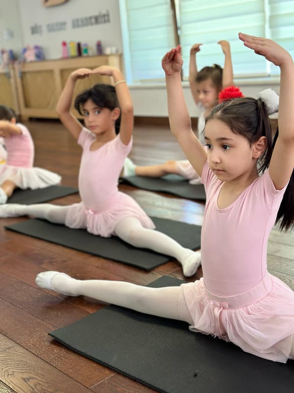 TC. MEB Düş Sanat Akademi - 3. Fotoğraf TC. MEB Düş Sanat Akademi - 3. Fotoğraf