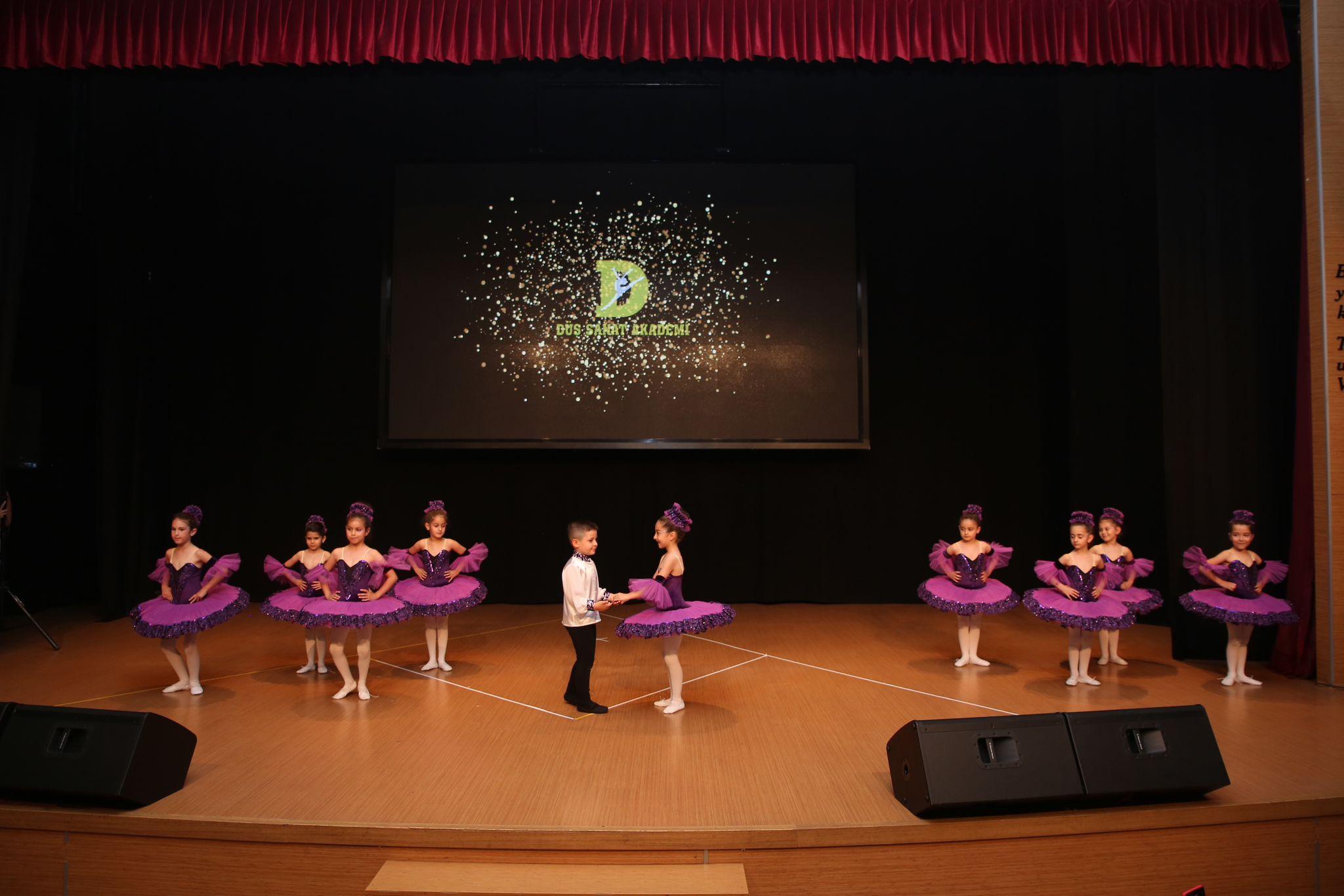 TC. MEB Düş Sanat Akademi